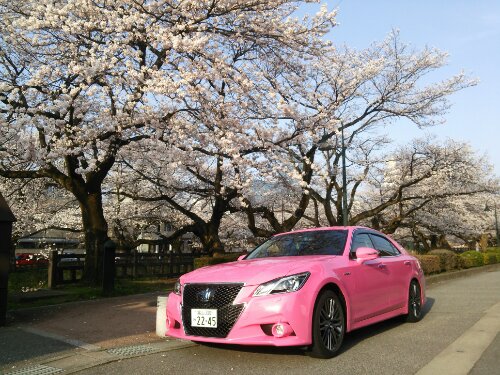 桜とピンクのクラウン